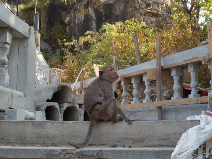 Les escaliers pour monter en haut du piton