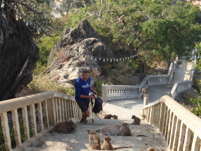 Michel qui est prudent avec les singes