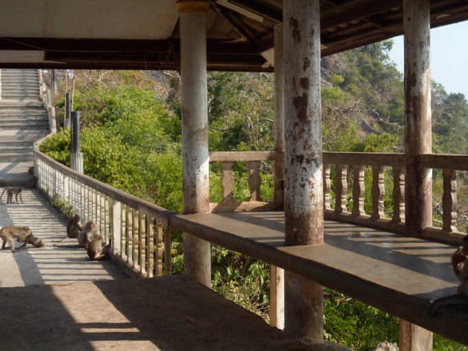 Encore des singes sur les escaliers