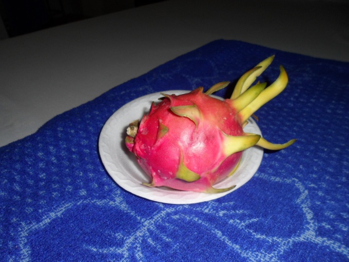 Fruit du dragon