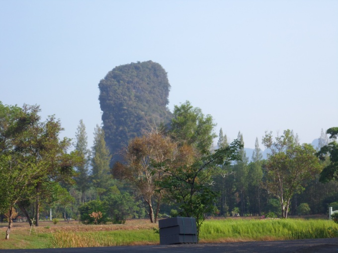 Pitons rocheux couvert de végétation proche de Phang Nga