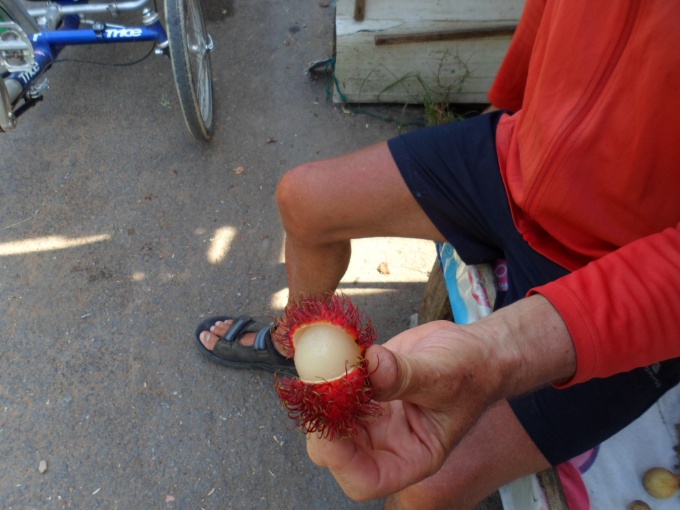 Rambutan ouvert