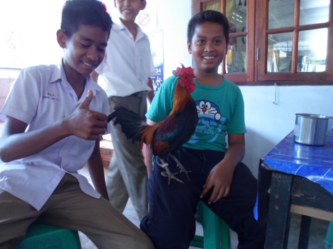 Un enfant de l'école avec son coq