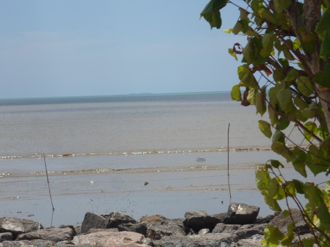 La côte à marée basse.