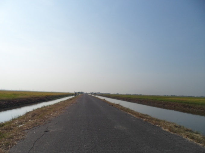Route rurale entre les rizières