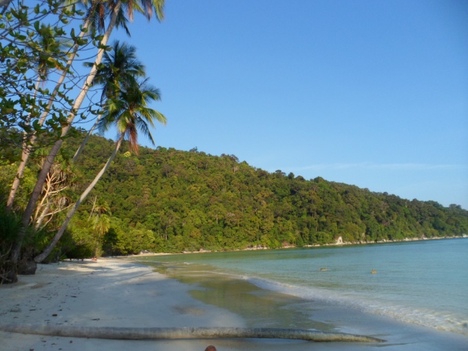 Plage, jungle et mer