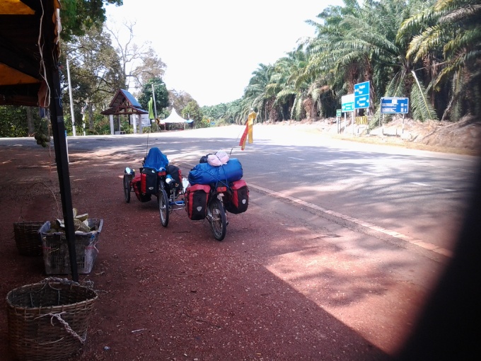 Les vélos devant l'étal de fruits