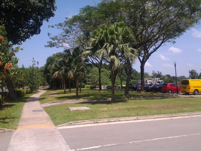 Un parc à Singapour