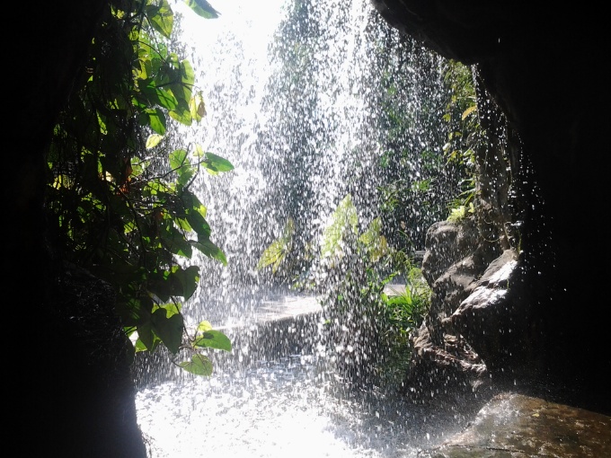 Le jardin botanique